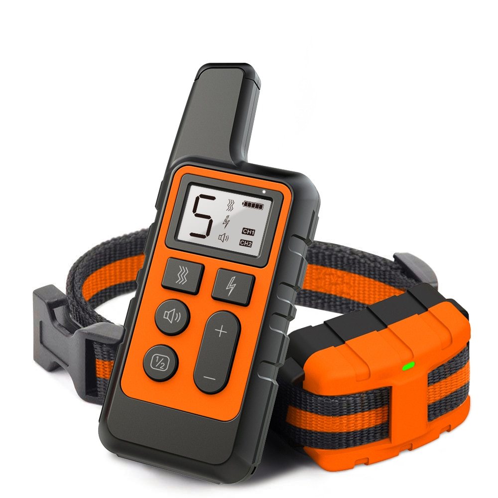 Dog shock Collar